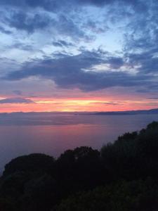 a sunset over a body of water with trees at Les Terrasses Levantines in Île du Levant