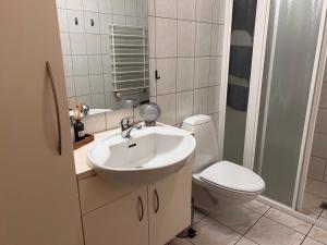 y baño con lavabo y aseo. en Klettaborg en Akureyri