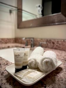 a bathroom sink with two towels and a bottle of soap at Sheridan Suites Apartments in Dania Beach