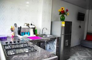 a kitchen with a stove and a sink and a refrigerator at Hotel Villa Bosco in Palmira