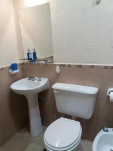 y baño con aseo, lavabo y espejo. en Departamento Mi casa en Mendoza en Godoy Cruz