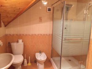 ein Bad mit einer Dusche, einem WC und einem Waschbecken in der Unterkunft Galéria Vendégház in Mezőkövesd
