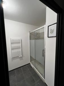 W łazience znajduje się prysznic ze szklanymi drzwiami. w obiekcie Gorgeous Apartment near Paris & Disneyland w mieście Fontenay-sous-Bois +11 zdjęć