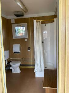 a bathroom with a toilet and a shower with a window at LakeSide Mobile Home & Caravan Parking in Bekecs