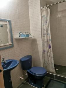 La salle de bains est pourvue d'une douche et de toilettes bleues. dans l'établissement Habitaciones en Acogedora estancia en pleno centro de Ibagué, à Ibagué