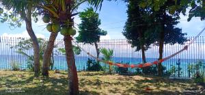 a hammock hanging from trees in front of the ocean at Ancelle Cristo Re in Moalboal