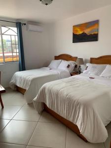 1 Schlafzimmer mit 2 Betten und einem Fenster in der Unterkunft Casa Lolita in Xilitla