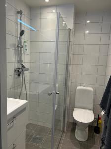 a bathroom with a shower with a toilet and a sink at TunnebergaBoB in Jonstorp