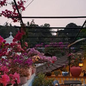 a view from the roof of a flower shop at Afonso Guest House in Panaji
