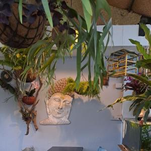a wall with potted plants and a head on it at Afonso Guest House in Panaji