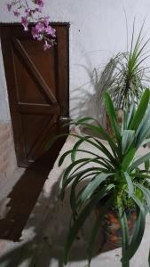 een deur met een hoop planten ervoor bij Posada El Refugio in Mineral de Pozos
