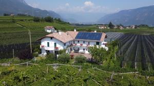 a house with solar panels on it in a vineyard at Fasslhof in Cornaiano