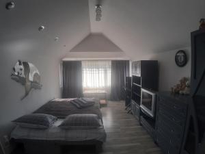 ein Schlafzimmer mit einem Bett, einer Kommode und einem Fenster in der Unterkunft Barlig in Jaremtsche