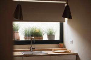a kitchen sink with potted plants in a window at Casa Diana A in Girona
