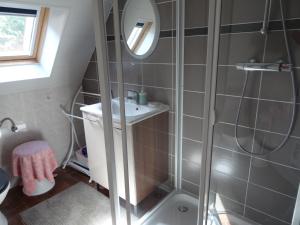 łazienka z prysznicem, umywalką i lustrem w obiekcie entre vignes et montagnes chambres w mieście Fréland +8 zdjęć