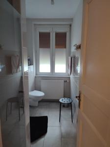 a small bathroom with a toilet and a window at Appartement chaleureux in Haguenau