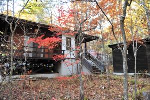 ein Haus im Wald mit roten Blättern in der Unterkunft KOMOREBI House -北軽井沢 木漏れ日の家- ペット可 in Kita-karuizawa