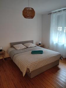 Un dormitorio con una cama con una almohada verde. en Appartement chaleureux en Haguenau