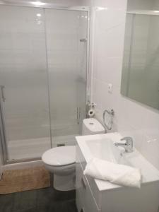 een badkamer met een wastafel, een toilet en een douche bij APARTAMENTO BAJO ALCOBENDAS in Alcobendas