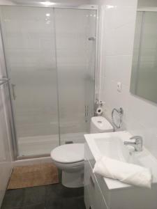 een badkamer met een toilet, een wastafel en een douche bij APARTAMENTO BAJO ALCOBENDAS in Alcobendas
