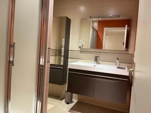 W łazience znajduje się umywalka i lustro. w obiekcie Brest and Breakfast vue mer w mieście Brest