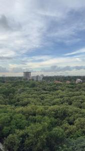 een luchtzicht op een bos van groene bomen bij The Notch in Dar es Salaam