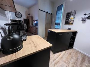 Kuchnia lub aneks kuchenny w obiekcie studio lenka