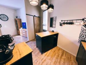 Kuchnia lub aneks kuchenny w obiekcie studio lenka