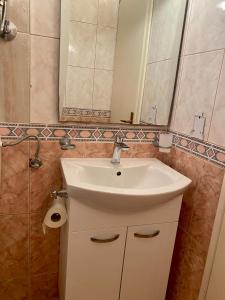 uma casa de banho com um lavatório branco e um espelho. em Apartmani HILA em Njivice