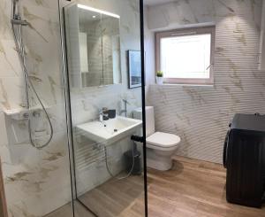 a bathroom with a toilet and a sink and a shower at Tulbi Apartment in Pärnu