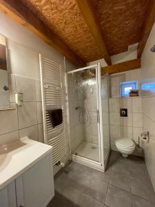 a bathroom with a shower and a toilet and a sink at Auberge des Sauterelles in Sermersheim