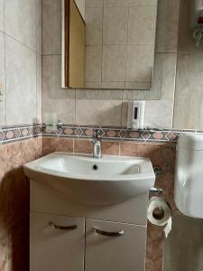 a bathroom with a sink and a mirror and a toilet at Apartmani HILA in Njivice +25 photos