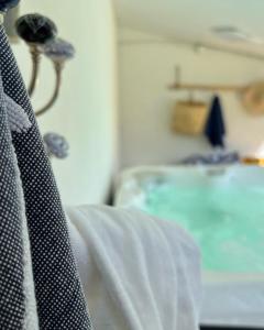 a close up of a tie in a room at Gîtes de charme "l'écrin de Vendée" 10 mn des plages, piscine du domaine, et ses 2 Maisons avec chacune leur spa privatif in Sallertaine