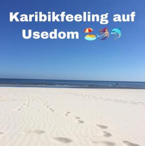 Příroda nedaleko prázdninového domu