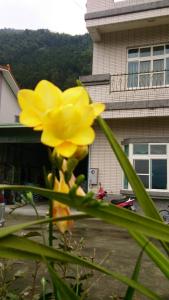 Ảnh trong thư viện ảnh của Ming Camphor Homestay ở Meishan