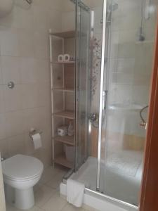 ein Bad mit einer Dusche und einem WC in der Unterkunft Cerasella in Cetara