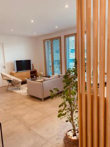 Televízia a/alebo spoločenská miestnosť v ubytovaní Appartement T3 Confluence + 6 fotografií