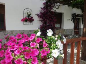 a bunch of pink and white flowers on a fence at Atxispe Etxea Casa Rural in Laukiz