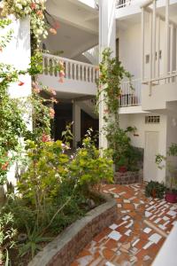 a courtyard of a house with flowers and plants at Residencial Che Guevara B & B Stop over in Mindelo +19 photos