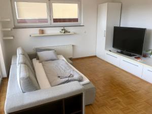ein Wohnzimmer mit einem Sofa und einem Flachbild-TV in der Unterkunft Jenny Apartment with Jacuzzi in Brezovica