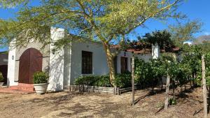 a white house with a tree in front of it at Mooi Bly in Paarl