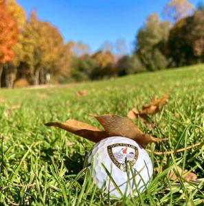 Gallery image of Zollernalbdomizil FeWo2 in Balingen