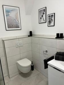 een witte badkamer met een toilet en een wastafel bij Zollernalbdomizil FeWo2 in Balingen