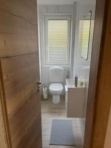 een badkamer met een toilet en een wastafel bij Apartmaji Seljak in Preddvor
