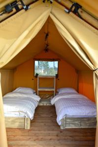 two beds in a tent with a window at Sahara Stay in Vluchtenburg