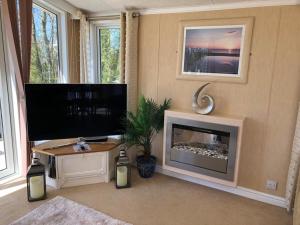 a living room with a fireplace and a flat screen tv at Whitwell and Reepham Station - GEORGIE in Reepham