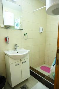 a bathroom with a sink and a shower at Tri bagrema KM in Mokra Gora