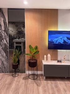 a living room with two plants and a tv on a wall at Super Luxury Apartment Ocean View Las Americas Costa Adeje in Adeje