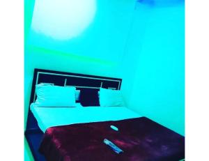 Bett in einem Zimmer mit blauem Licht in der Unterkunft Hotel Royal Palace Jammu in Jammu
