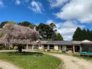 un edificio con un árbol florido delante de él en Relaxing at acreage farmhouse en Burrawang